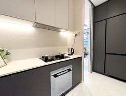 Cairnhill 16 (D9), Apartment #626474541